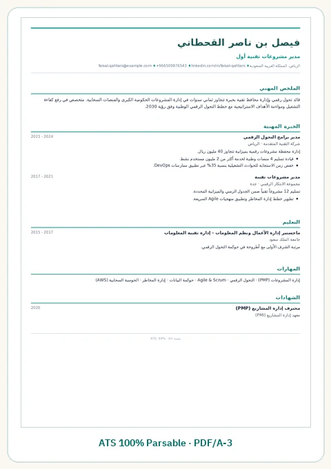 قالب السيرة الذاتية التنفيذي القيادي